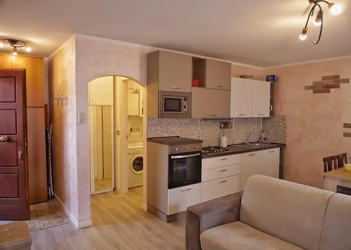 Bigterrace - Ampio Monolocale Con Cameretta E Spaziosissimo Terrazzo