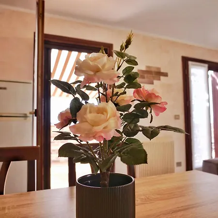 Bigterrace - Ampio Monolocale Con Cameretta E Spaziosissimo Terrazzo גראדו